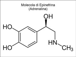 L'Olio Extravergine di Oliva combatte l'invecchiamento della pelle