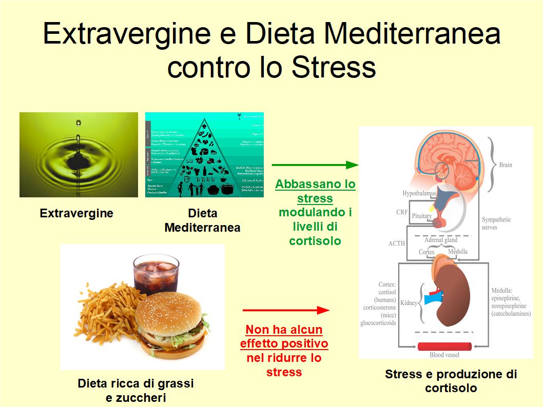 Una dieta equilibrata e ricca di Extravergine combatte lo Stress