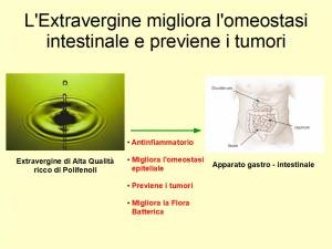 Consumare Extravergine quotidianamente previene le malattie dell'intestino